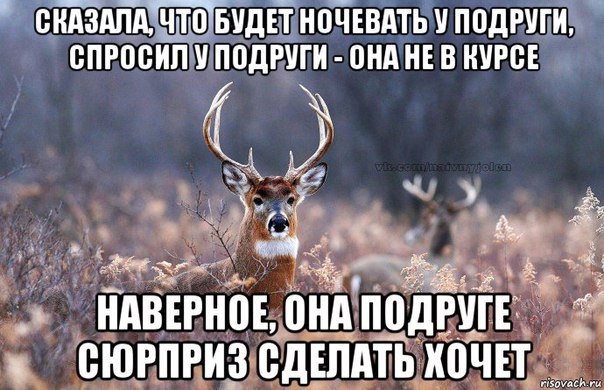 Sdelaitelo.BIZ - Бодибилдинг форум AnabolicShops