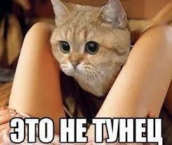 Sdelaitelo.BIZ - Бодибилдинг форум AnabolicShops