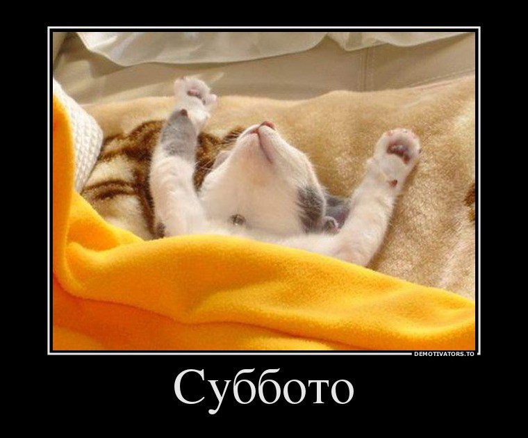 Магазин Фрэнка. Pharmacom Labs Official. Марка №1 в Мире! - Бодибилдинг форум AnabolicShops