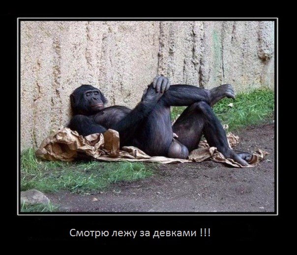 DevilsPharm.in.th - Бодибилдинг форум AnabolicShops