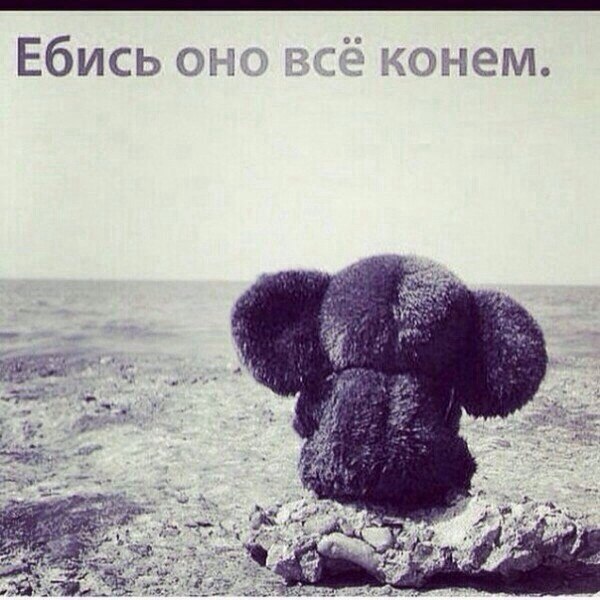 Андрей Ветров. OneLab. Склад пуст - Бодибилдинг форум AnabolicShops