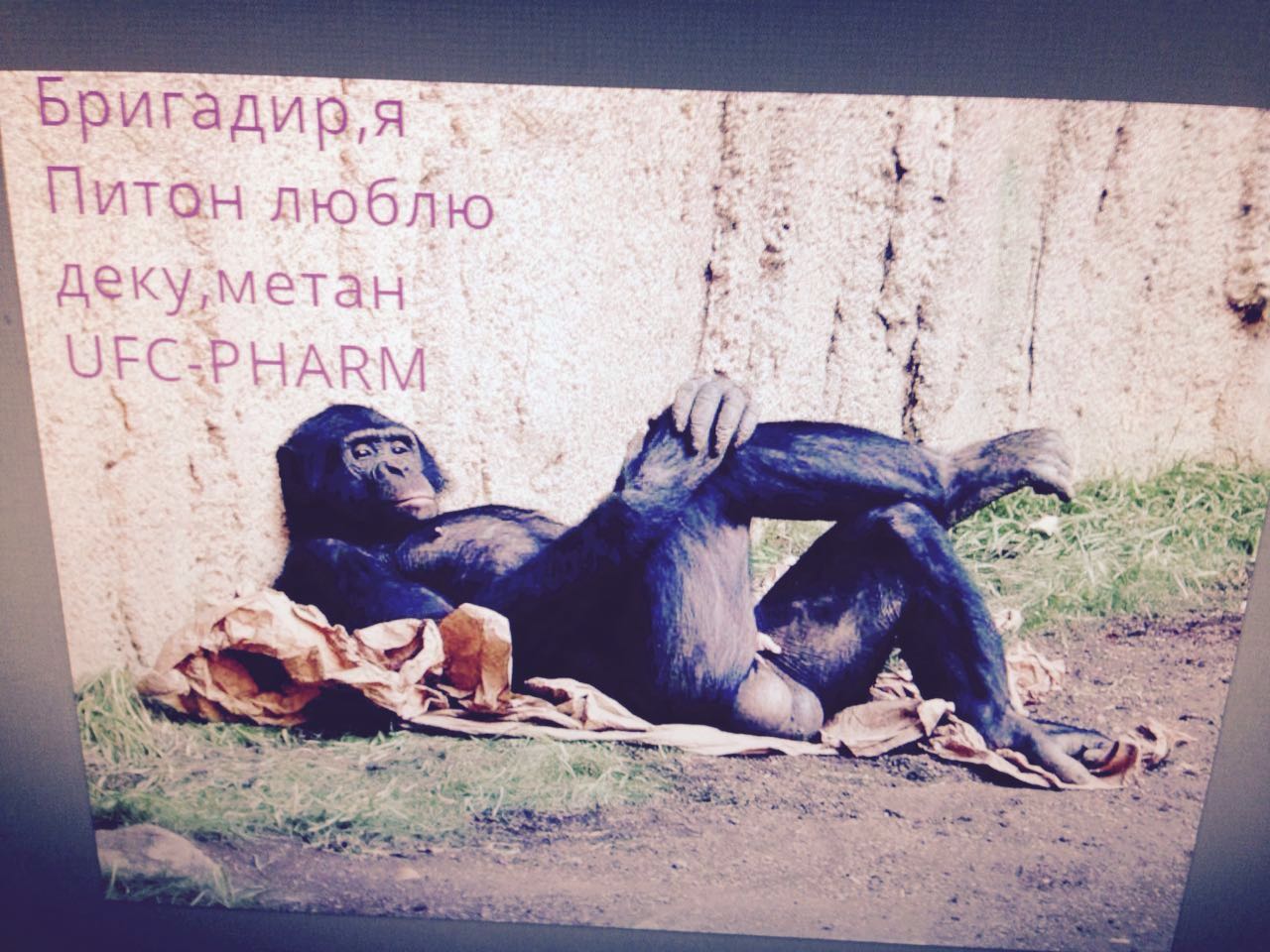 ФОТОКОНКУРС С ПРИЗАМИ ОТ UFC-PHARM -7000руб-5000руб-3000руб- - Бодибилдинг форум AnabolicShops