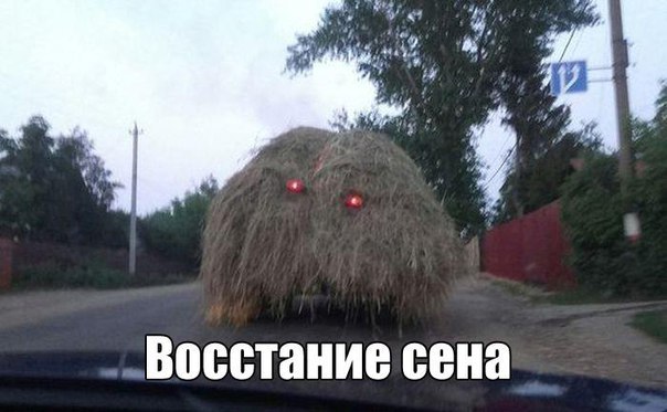 путь к стоячему пиструну. без левитры дорога к 12 часам - Бодибилдинг форум AnabolicShops