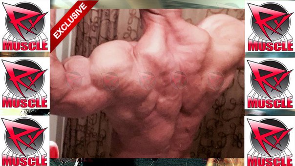 Крис Ацето - Леврон едет побеждать - Бодибилдинг форум AnabolicShops