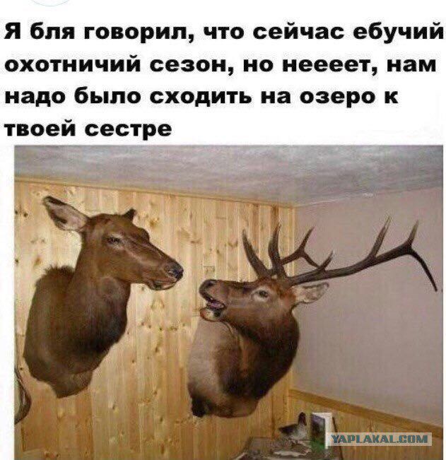 Анекдоты обо всем - Бодибилдинг форум AnabolicShops