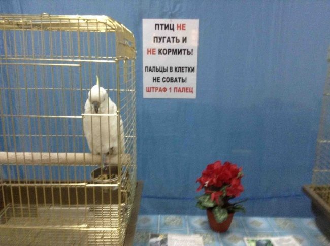 Анекдоты обо всем - Бодибилдинг форум AnabolicShops