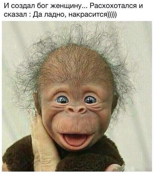 Курилка- разговоры на любые темы - Бодибилдинг форум AnabolicShops