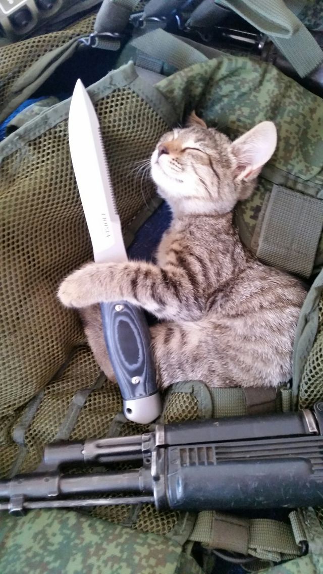 Курилка- разговоры на любые темы - Бодибилдинг форум AnabolicShops