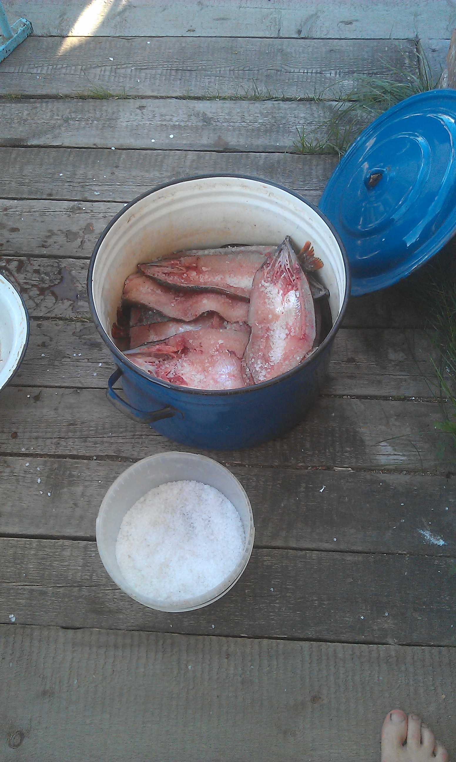 lexx83 - Бодибилдинг форум AnabolicShops