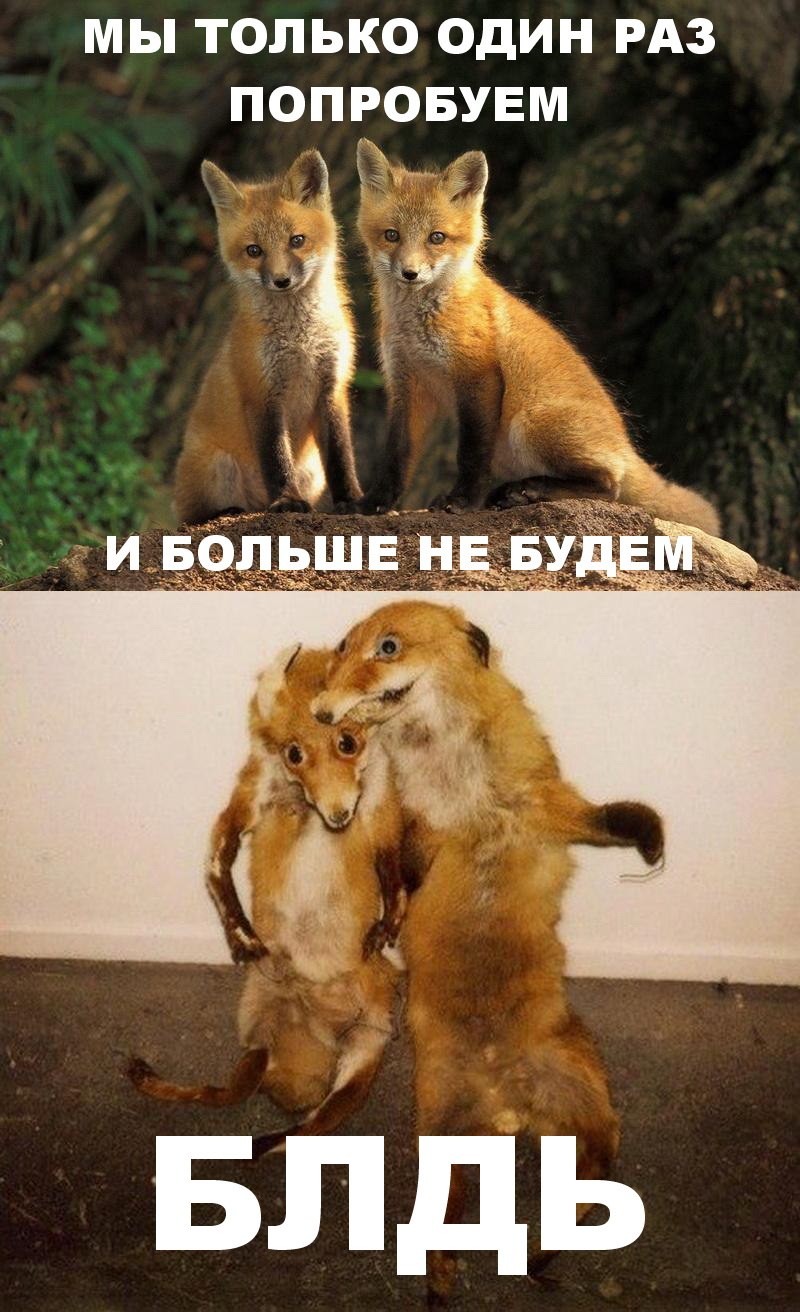 Mita-pharma. - Бодибилдинг форум AnabolicShops