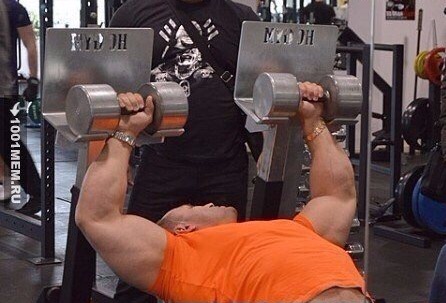 Курилка- разговоры на любые темы - Бодибилдинг форум AnabolicShops