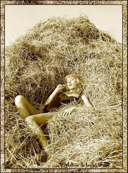 Магазин Фрэнка. Pharmacom Labs Official. Марка №1 в Мире! - Бодибилдинг форум AnabolicShops