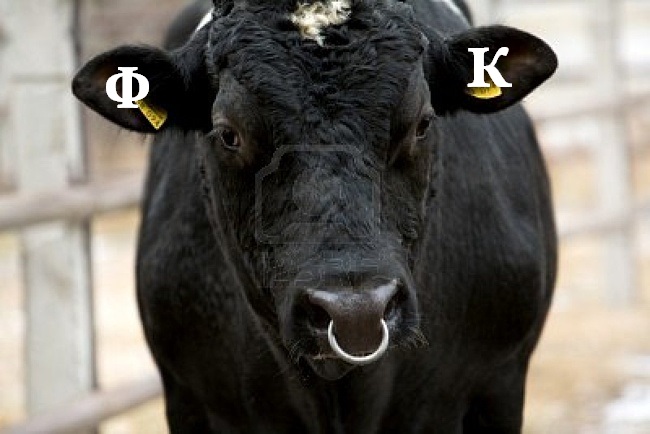 Магазин Фрэнка. Pharmacom Labs Official. Марка №1 в Мире! - Бодибилдинг форум AnabolicShops