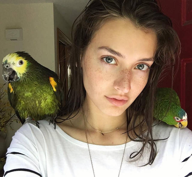 BODIES | КРАСОТА ТЕЛА | NO PORN - Бодибилдинг форум AnabolicShops