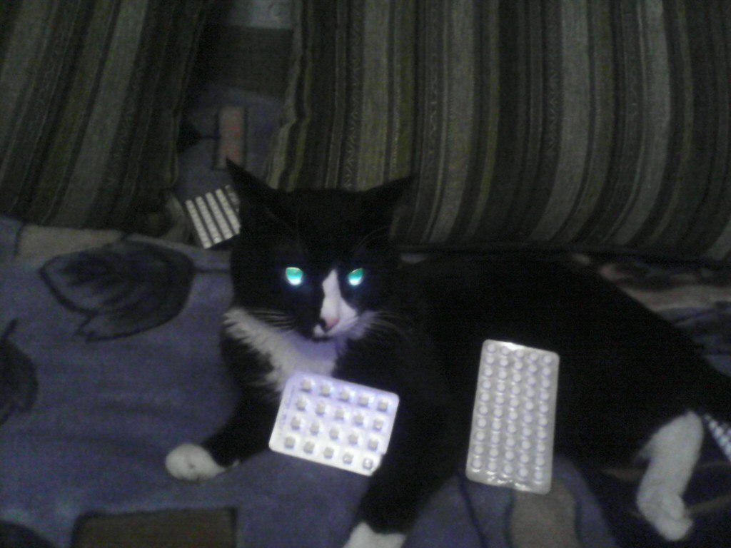 Братья Паркеры поздравляют всех Вас с Новым Годом! С 27 дек по 7 янв - нерабочие дни! - Бодибилдинг форум AnabolicShops