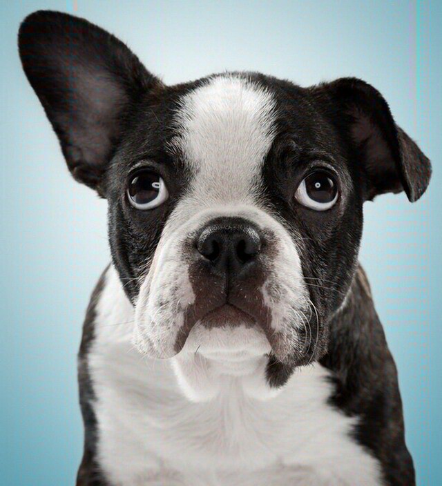 Курсим  с Умом  - Два мнения - Бодибилдинг форум AnabolicShops