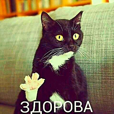 Bestanabolic.info - Снова в строю! - Бодибилдинг форум AnabolicShops