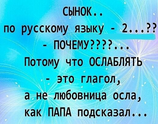 Анекдоты обо всем - Бодибилдинг форум AnabolicShops