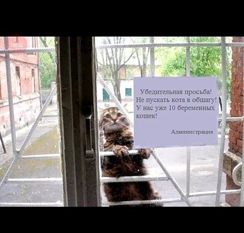 Магазин Фрэнка. Pharmacom Labs Official. Марка №1 в Мире! - Бодибилдинг форум AnabolicShops