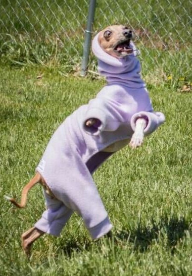 MIX6/МИКС6 - Бодибилдинг форум AnabolicShops