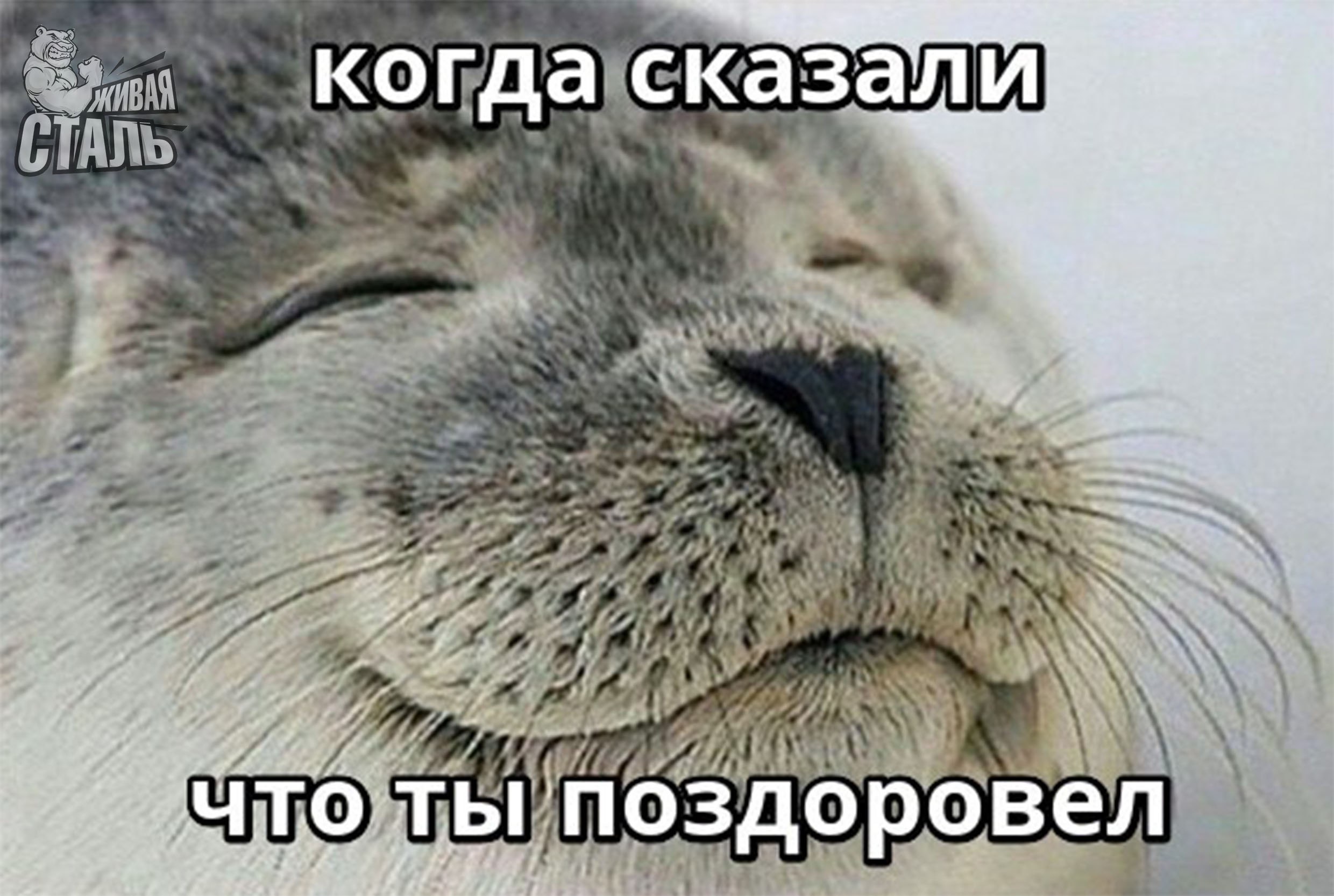 Магазин Фрэнка. Pharmacom Labs Official. Марка №1 в Мире! - Бодибилдинг форум AnabolicShops