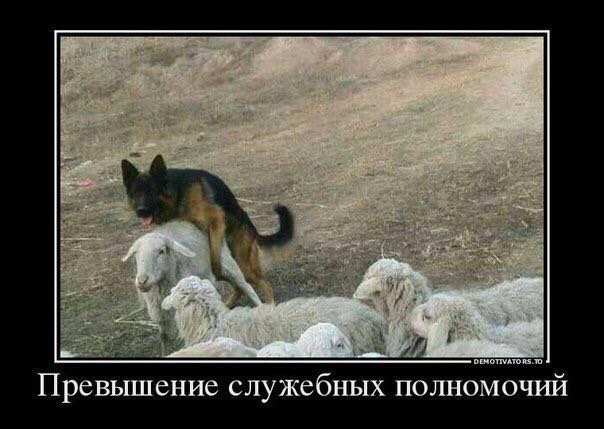 Анекдоты обо всем - Бодибилдинг форум AnabolicShops