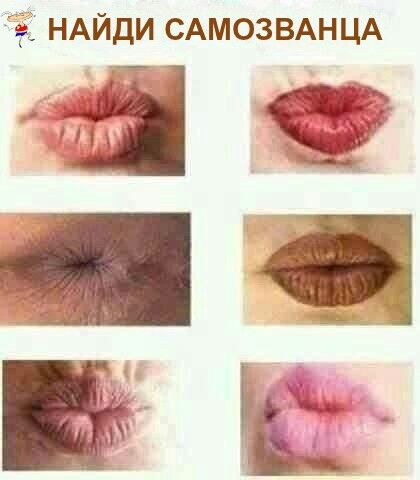 Анекдоты обо всем - Бодибилдинг форум AnabolicShops