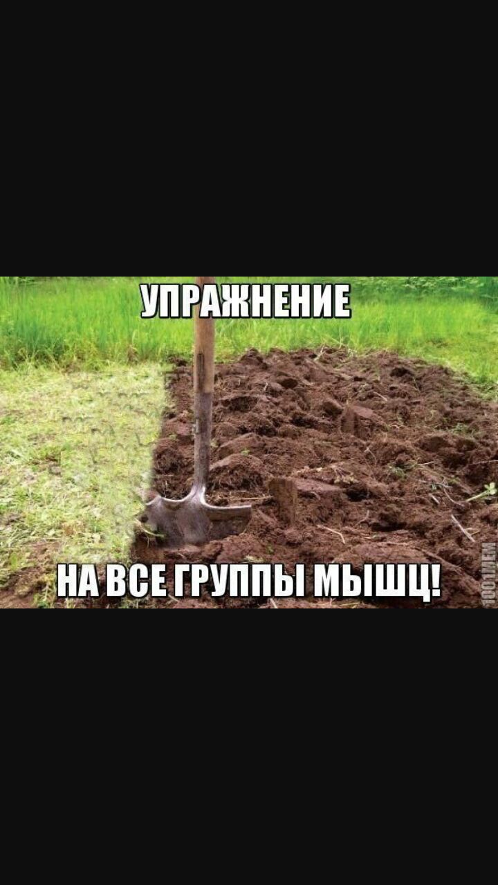 Анекдоты обо всем - Бодибилдинг форум AnabolicShops