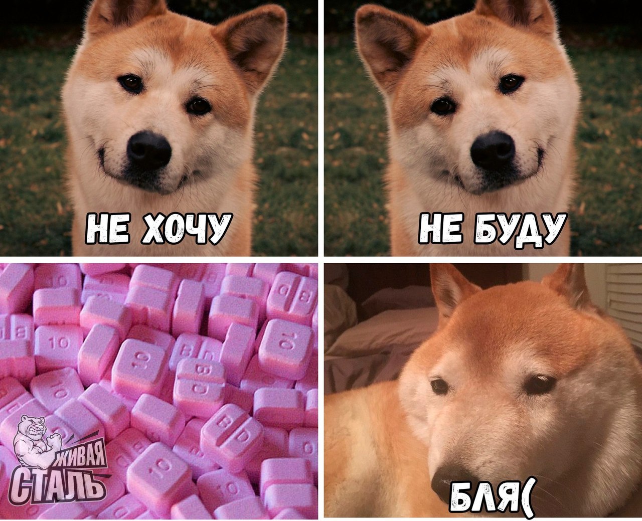 Магазин Фрэнка. Pharmacom Labs Official. Марка №1 в Мире! - Бодибилдинг форум AnabolicShops