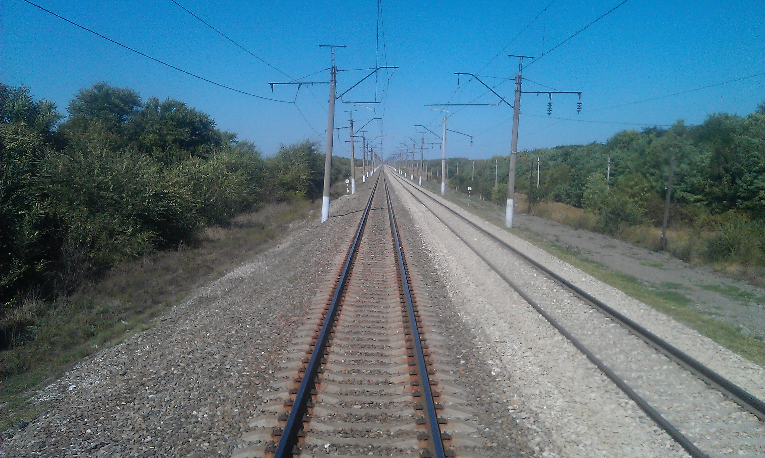 lexx83 - Бодибилдинг форум AnabolicShops