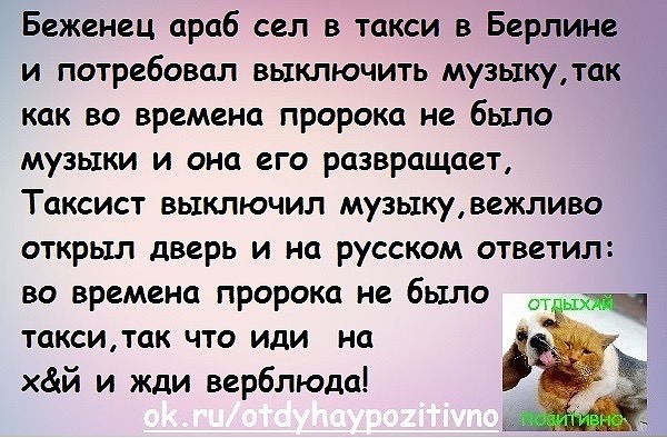 Анекдоты обо всем - Бодибилдинг форум AnabolicShops