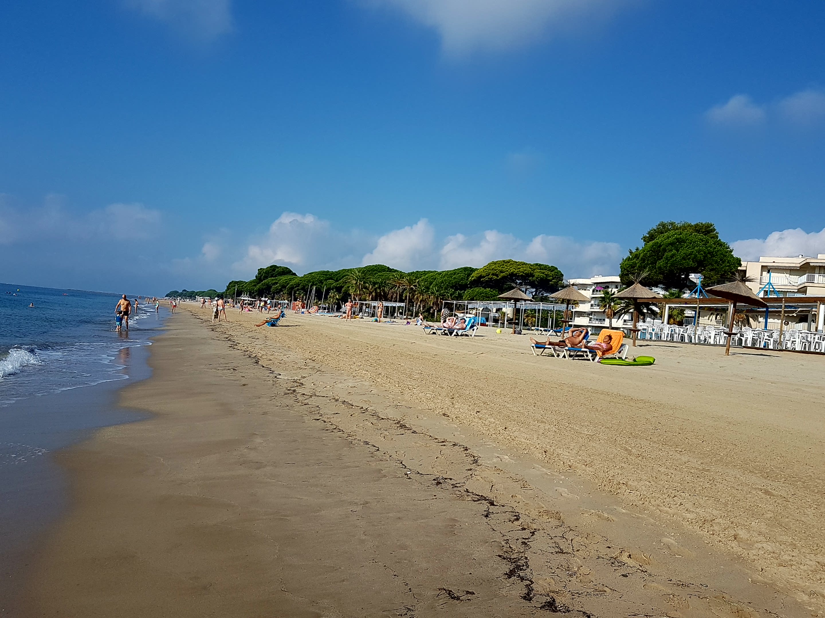 Thomas&Co - Медицинское качество. - Бодибилдинг форум AnabolicShops