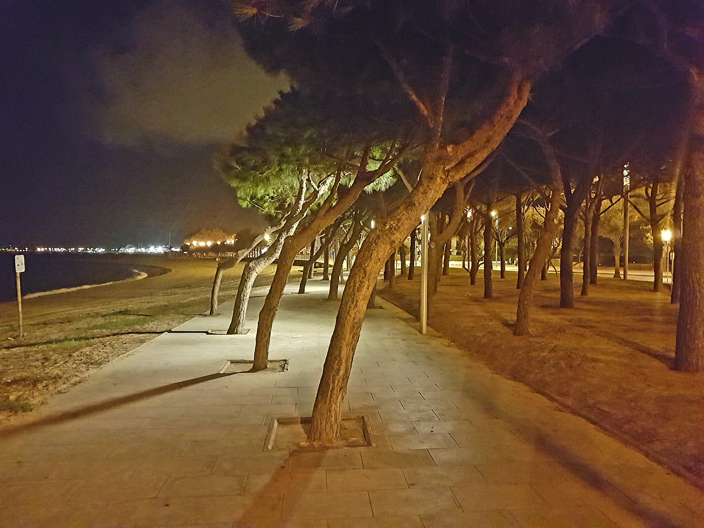 Thomas&Co - Медицинское качество. - Бодибилдинг форум AnabolicShops