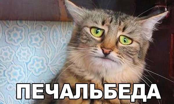 Магазин Фрэнка. Pharmacom Labs Official. Марка №1 в Мире! - Бодибилдинг форум AnabolicShops