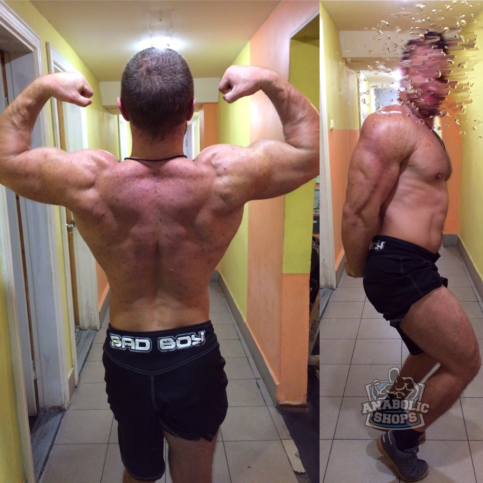 Bestanabolic.info - Снова в строю! - Бодибилдинг форум AnabolicShops