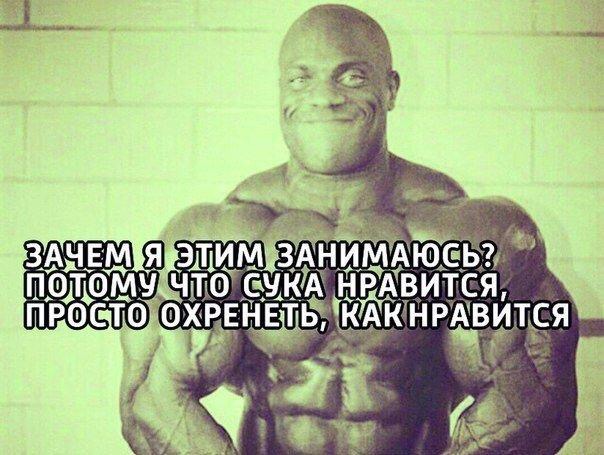 Mita-pharma. - Бодибилдинг форум AnabolicShops