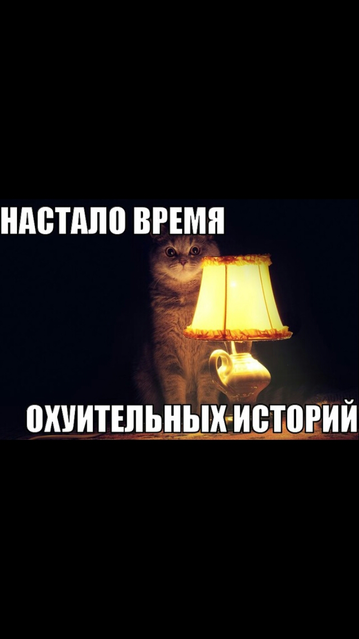 На чём ездишь, али сам машина? - Бодибилдинг форум AnabolicShops