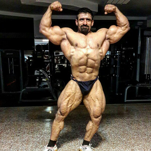 Любительская "Олимпия" в Москве - Бодибилдинг форум AnabolicShops