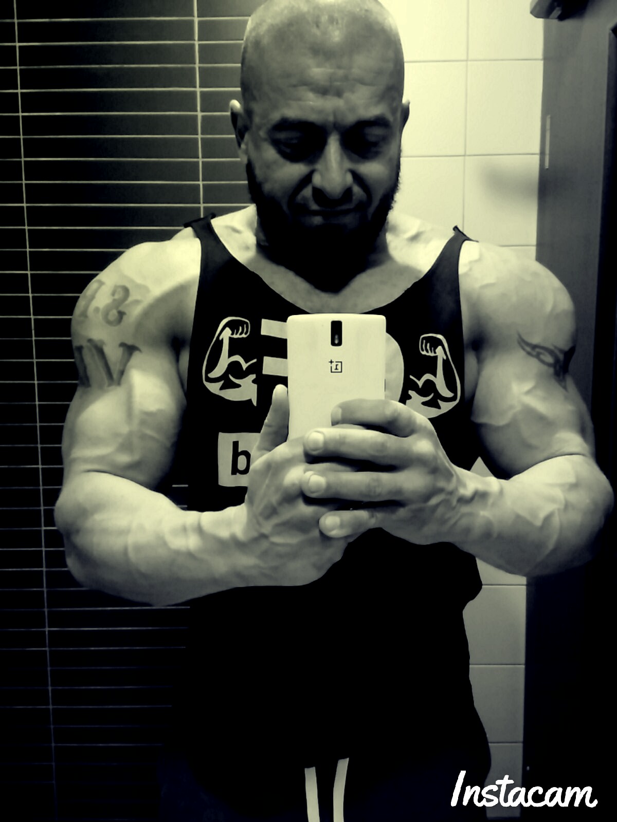 Фармакология, питание и тренировочный процесс - Бодибилдинг форум AnabolicShops