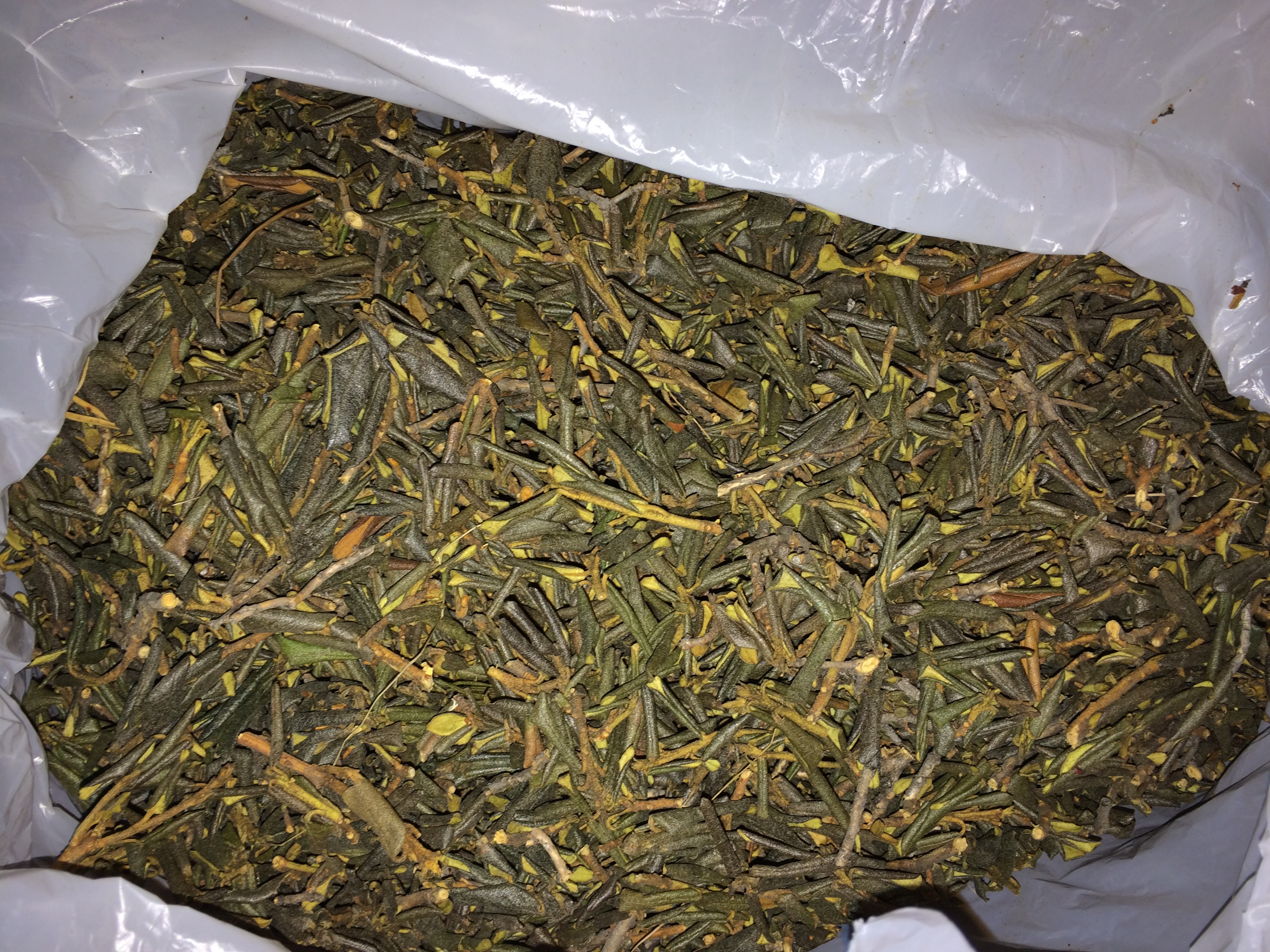 Чайная лавка / эксклюзивные травы Сибири - Бодибилдинг форум AnabolicShops