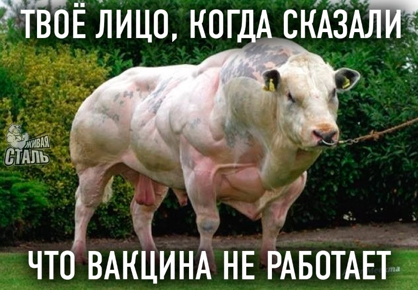 Магазин Фрэнка. Pharmacom Labs Official. Марка №1 в Мире! - Бодибилдинг форум AnabolicShops