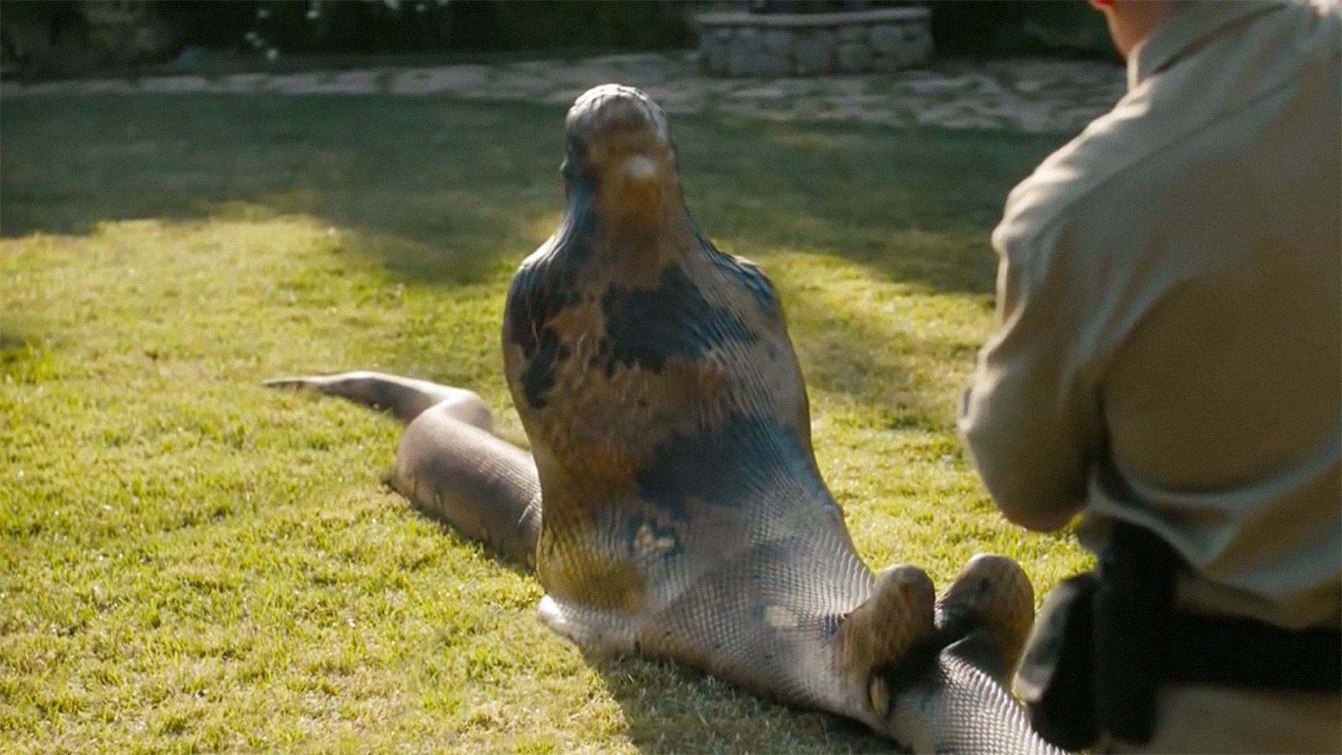 Thomas&Co - Медицинское качество. - Бодибилдинг форум AnabolicShops