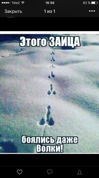 Анекдоты обо всем - Бодибилдинг форум AnabolicShops