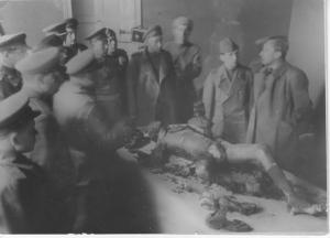 Лицо PharmBoy.Biz возьмем 2-ух ребят на прокачку! С нас - Фарма, с Вас - результат! - Бодибилдинг форум AnabolicShops