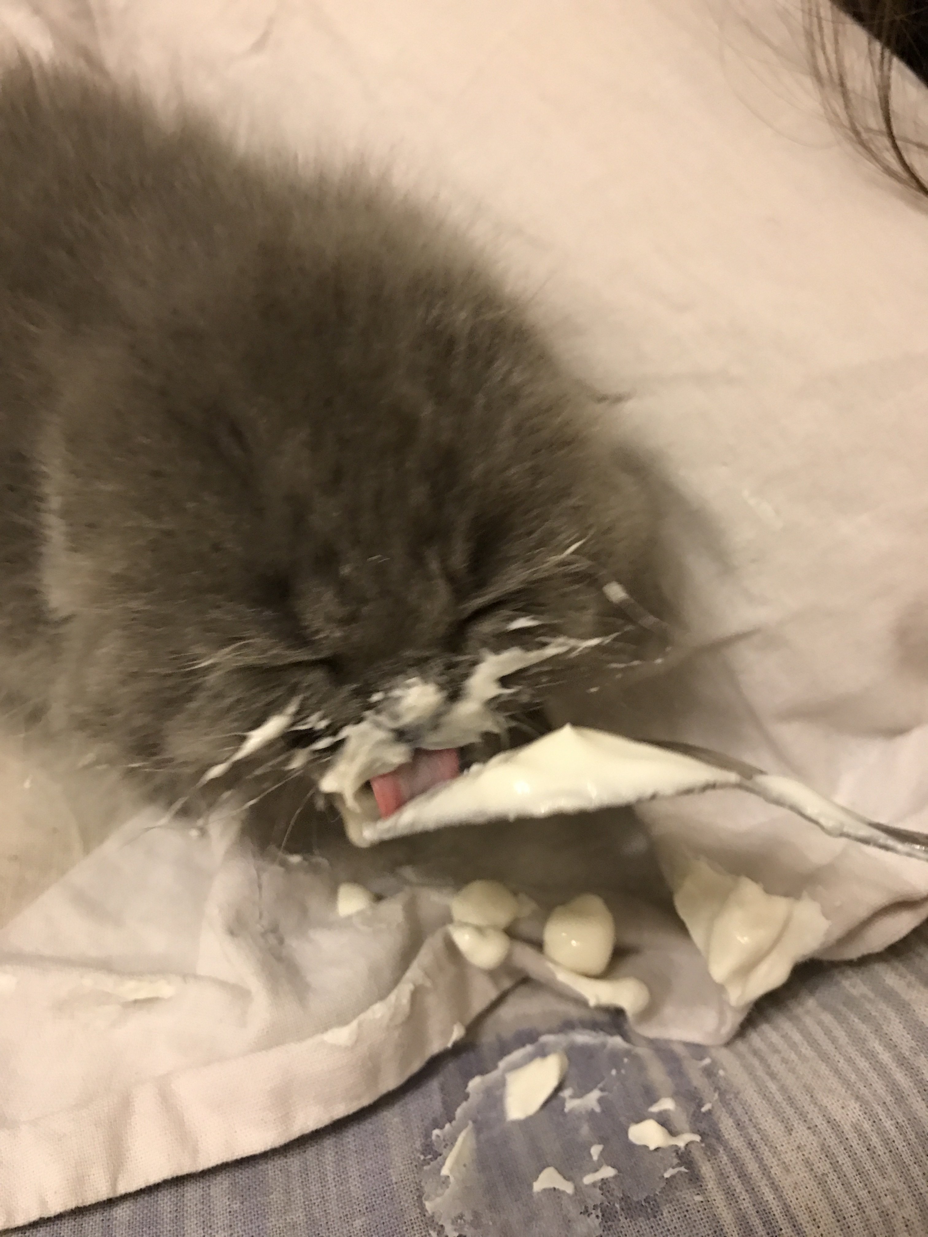 Сено, дорога к кругосветке! - Бодибилдинг форум AnabolicShops