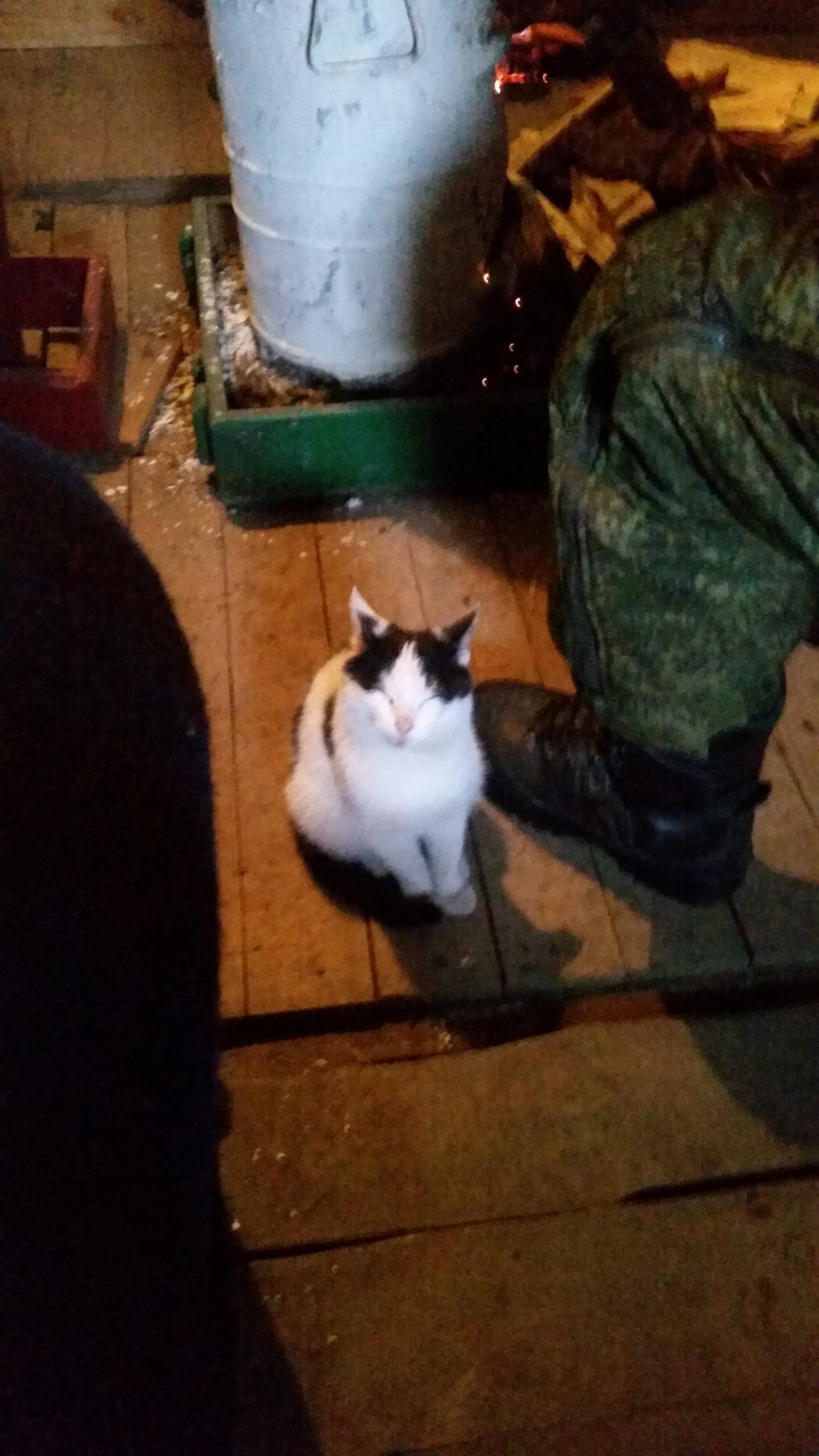 GOODPHARMA.BIZ -  Официальный представитель Vermodje и EPF ! - Бодибилдинг форум AnabolicShops