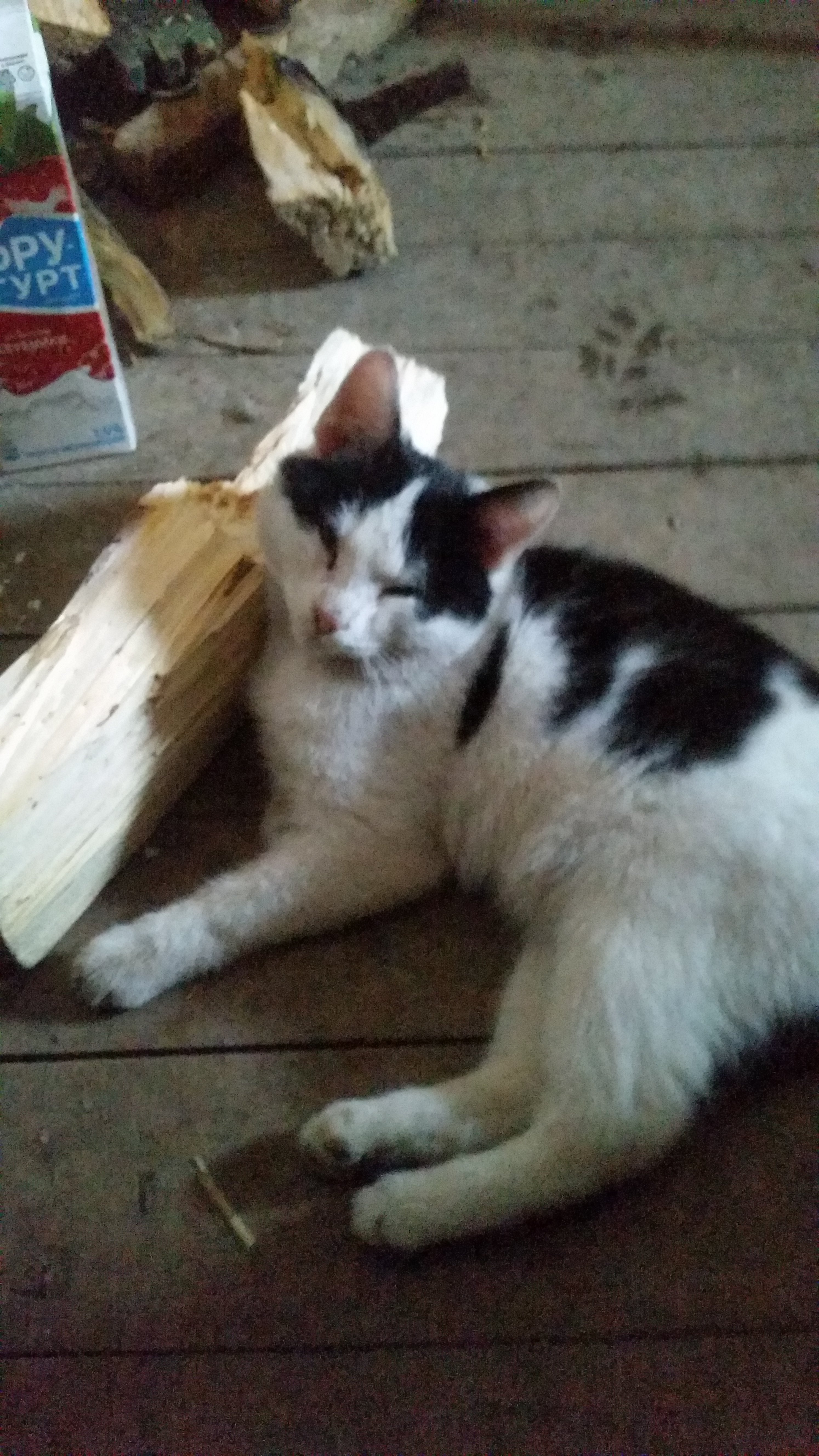 GOODPHARMA.BIZ -  Официальный представитель Vermodje и EPF ! - Бодибилдинг форум AnabolicShops