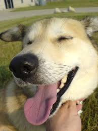 PS Профилактические работы - Бодибилдинг форум AnabolicShops