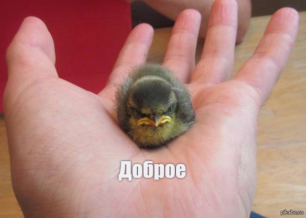 Fruitlabs.org   Всегда отличные цены, отменное качество и быстрые отправки ! - Бодибилдинг форум AnabolicShops