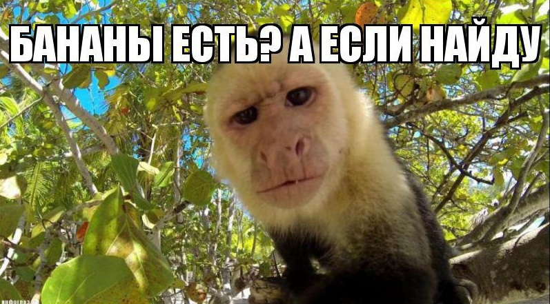 Fruitlabs.org   Всегда отличные цены, отменное качество и быстрые отправки ! - Бодибилдинг форум AnabolicShops